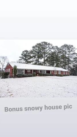 Bonus snowy house pic