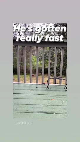 He's gotten really fast