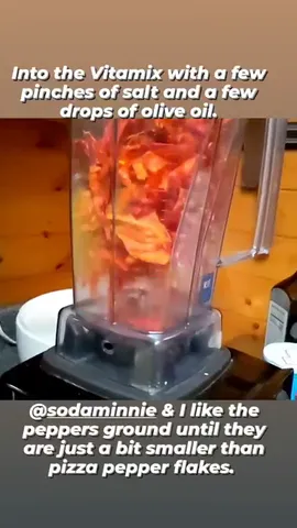Into the Vitamix with a few pinches of salt and a few drops of olive oil. @sodaminnie & I like the peppers ground until they are just a bit smaller than pizza pepper flakes.