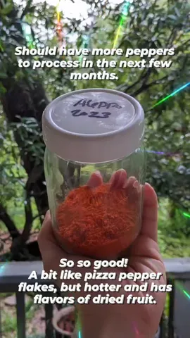Should have more peppers to process in the next few months. So so good!
A bit like pizza pepper flakes, but hotter and has flavors of dried fruit.