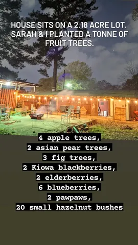 House sits on a 2.18 acre lot.
Sarah & I planted a tonne of fruit trees. 4 apple trees,
2
asian pear trees,
3 fig trees,
2 Kiowa blackberries,
2 elderberries,
6 blueberries,
2 pawpaws,
20 small hazelnut bushes