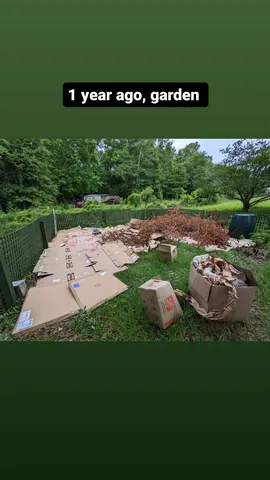 1 year ago, garden