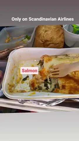 Only on Scandinavian Airlines Salmon Lasagna!