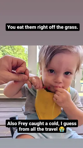 You eat them right off the grass. Also Frey caught a cold, I guess from all the travel ๐ญ