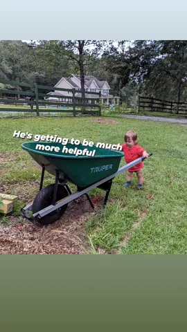 He's getting to be much more helpful