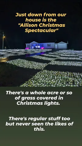 Just down from our
house is the
"Allison Christmas Spectacular"
There's a whole acre or so of grass covered in Christmas lights. There's regular stuff too but never seen the likes of this.