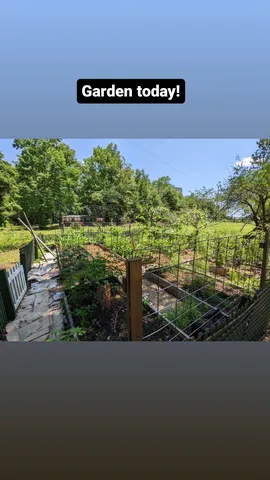 Garden today!