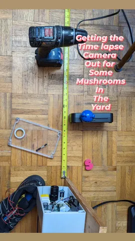 Getting the
Time lapse
Camera
Out for
Some
Mushrooms
In
The
Yard