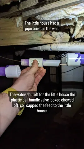 The little house had a
pipe burst in the wall. The water shutoff for the little house the plastic ball handle valve looked chewed off, so I capped the feed to the little house.