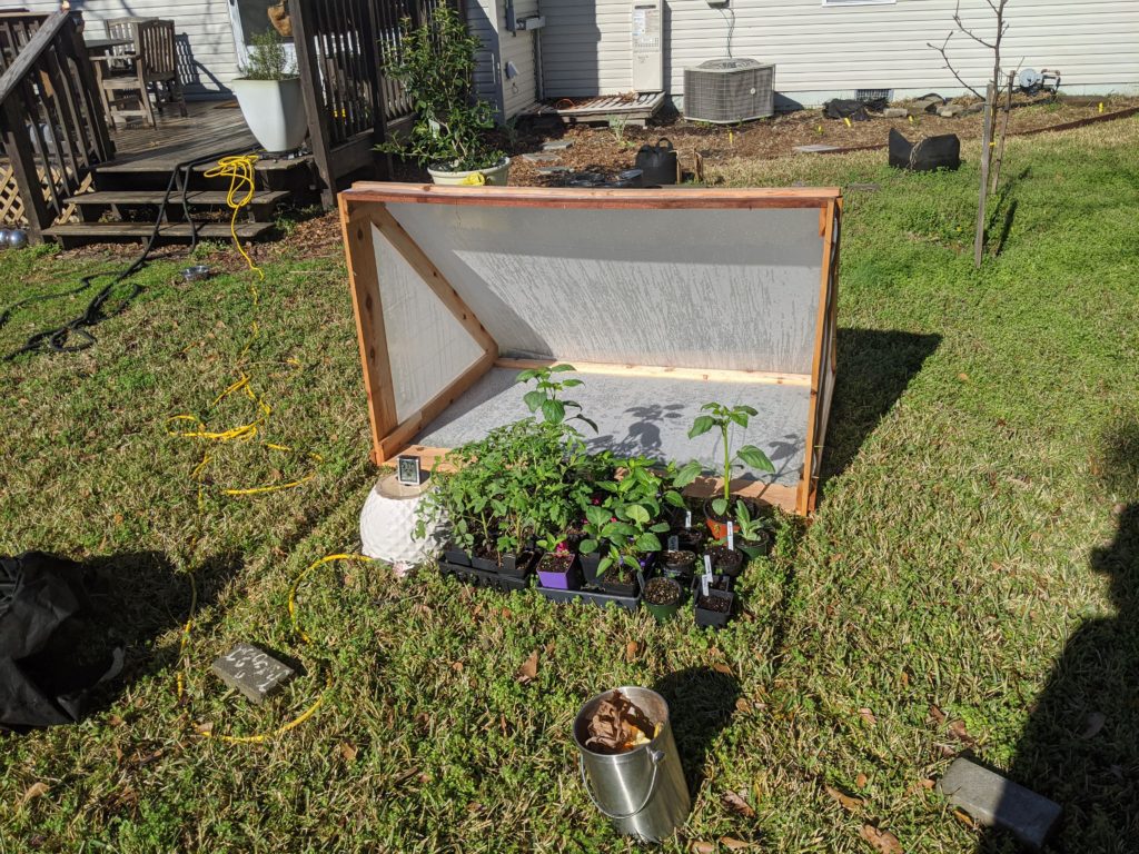 Open Coldframe filled with sprouted plants